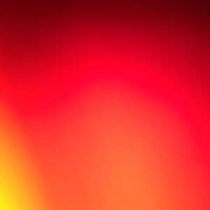 Meet your Posher, Alyssa renee’ fonseca